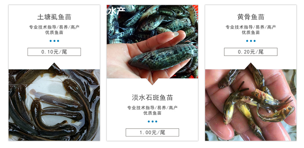 7e774114aa6e8e7fa925dedf75a2b3e7.png 7e774114aa6e8e7fa925dedf75a2b3e7.png